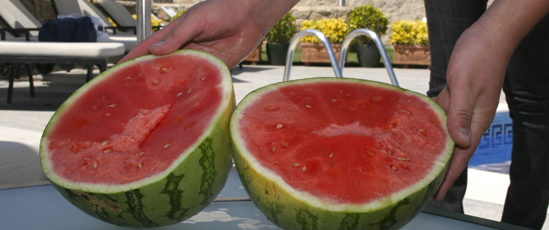 sandia en la piscina